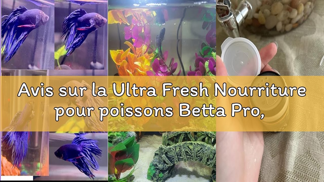 Avis sur la Ultra Fresh Nourriture pour poissons Betta Pro, galettes de crevettes à 50 % d'épée + pâ