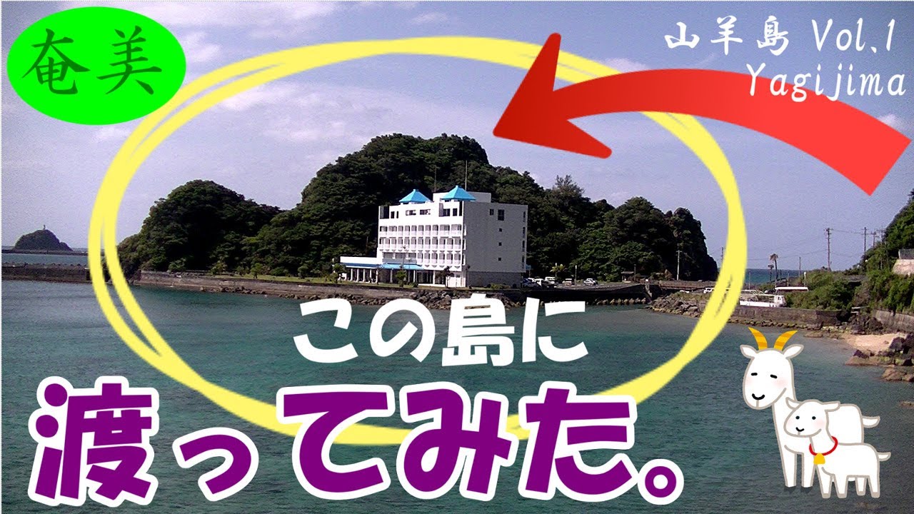 山羊島に渡ってみた!名瀬湾に浮かぶ島【奄美大島】Introducing Yagi Island in Amami Oshima,Japan