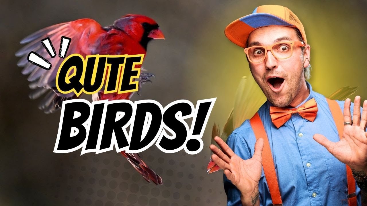 &ldquo;Discover the Qute Bird: Nature&rsquo;s Hidden Gem | Educational Wildlife Video&rdquo;🐦