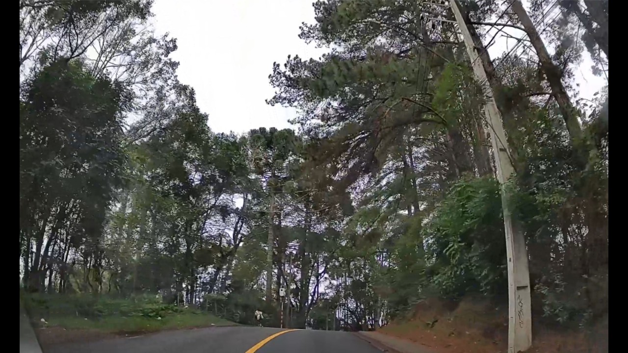 Dirigindo em Curitiba 13-07-25  Driving Curitiba - Brazil