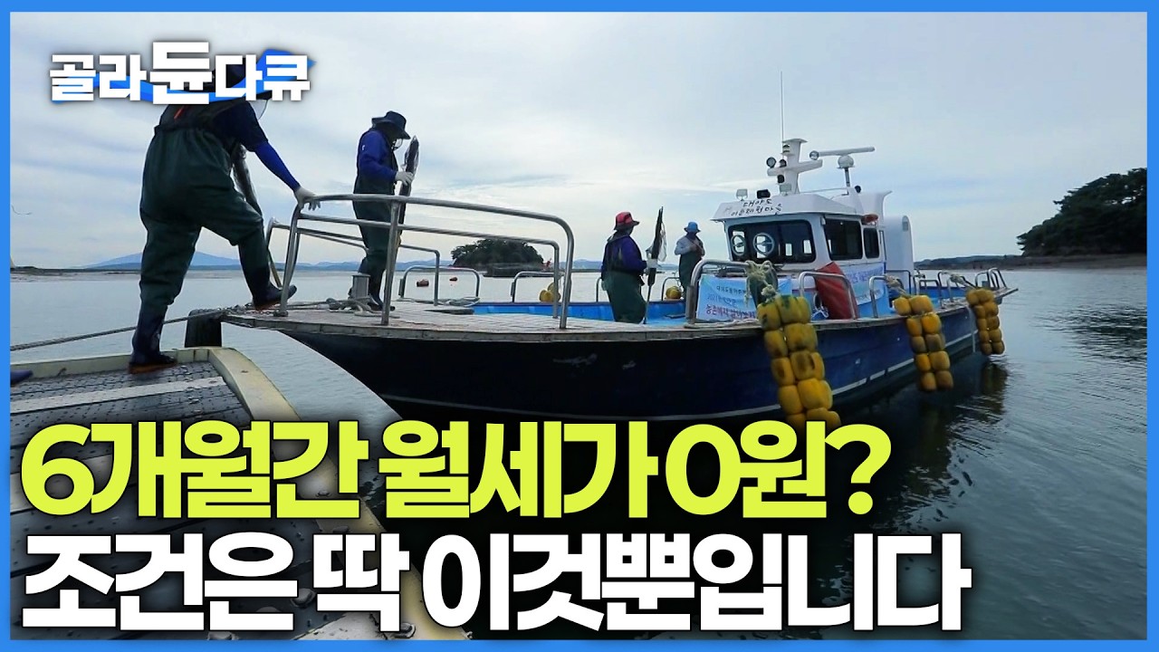 6개월 동안 방세 하나도 안 내도 된다. 태안 어촌마을이 귀촌 지망 부부에게 내건 역대급 파격적인 조건｜한국기행｜#골라듄다큐