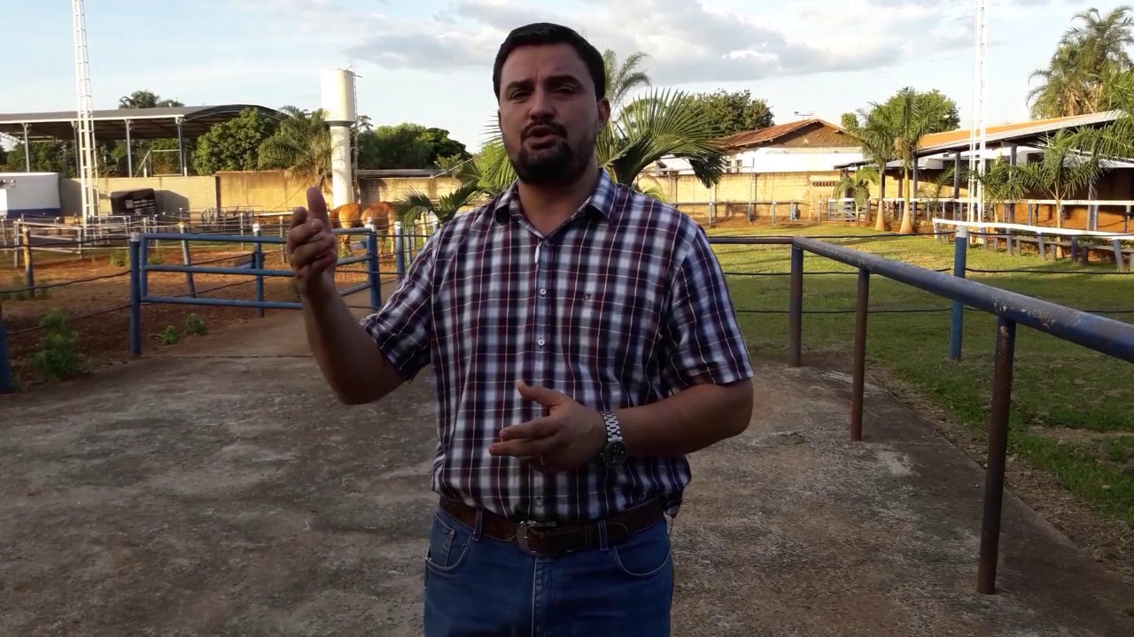 Cavalos #11: Dicas sobre Constru&ccedil;&atilde;o e Manejo de Baia