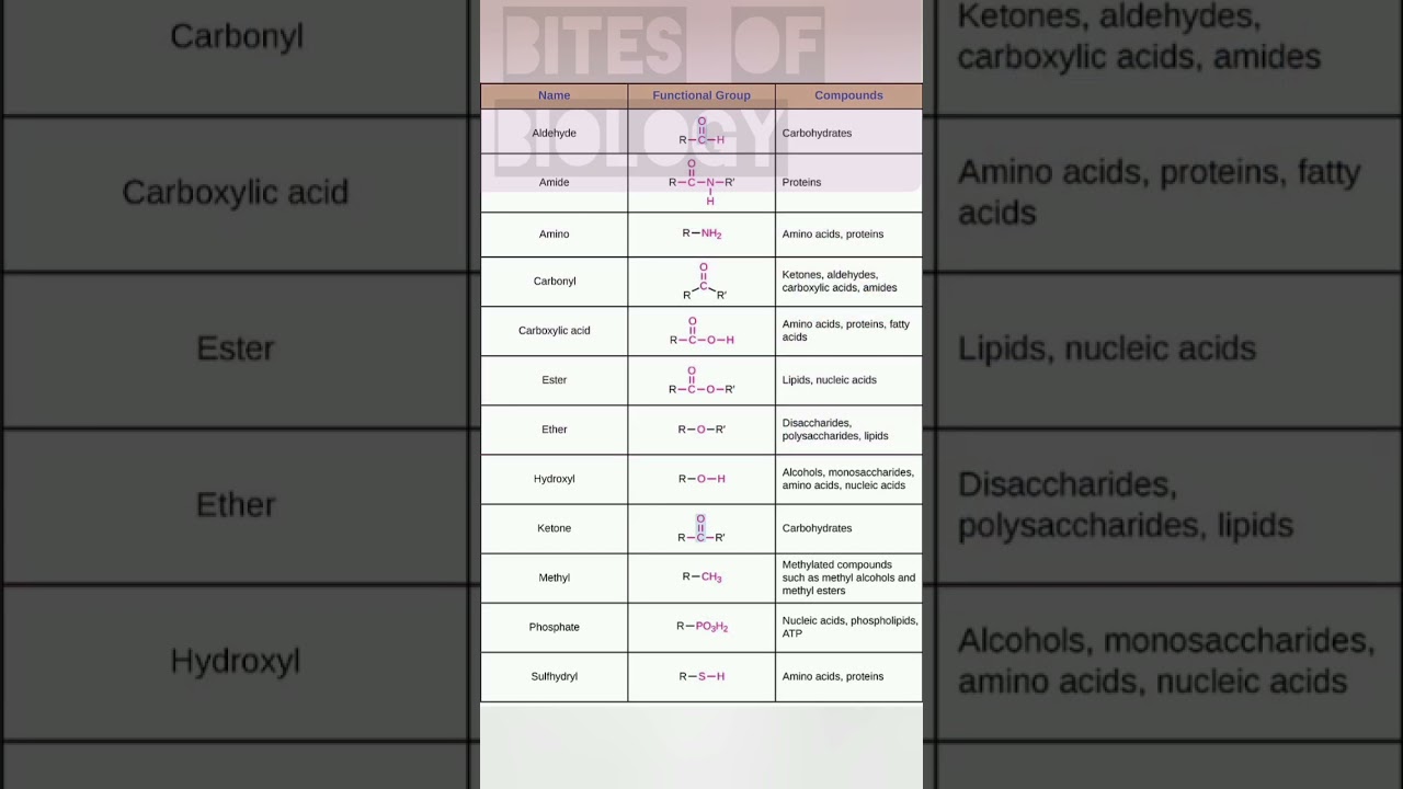 important functional group in biomolecule........#biology #chemistry#biochemistry
