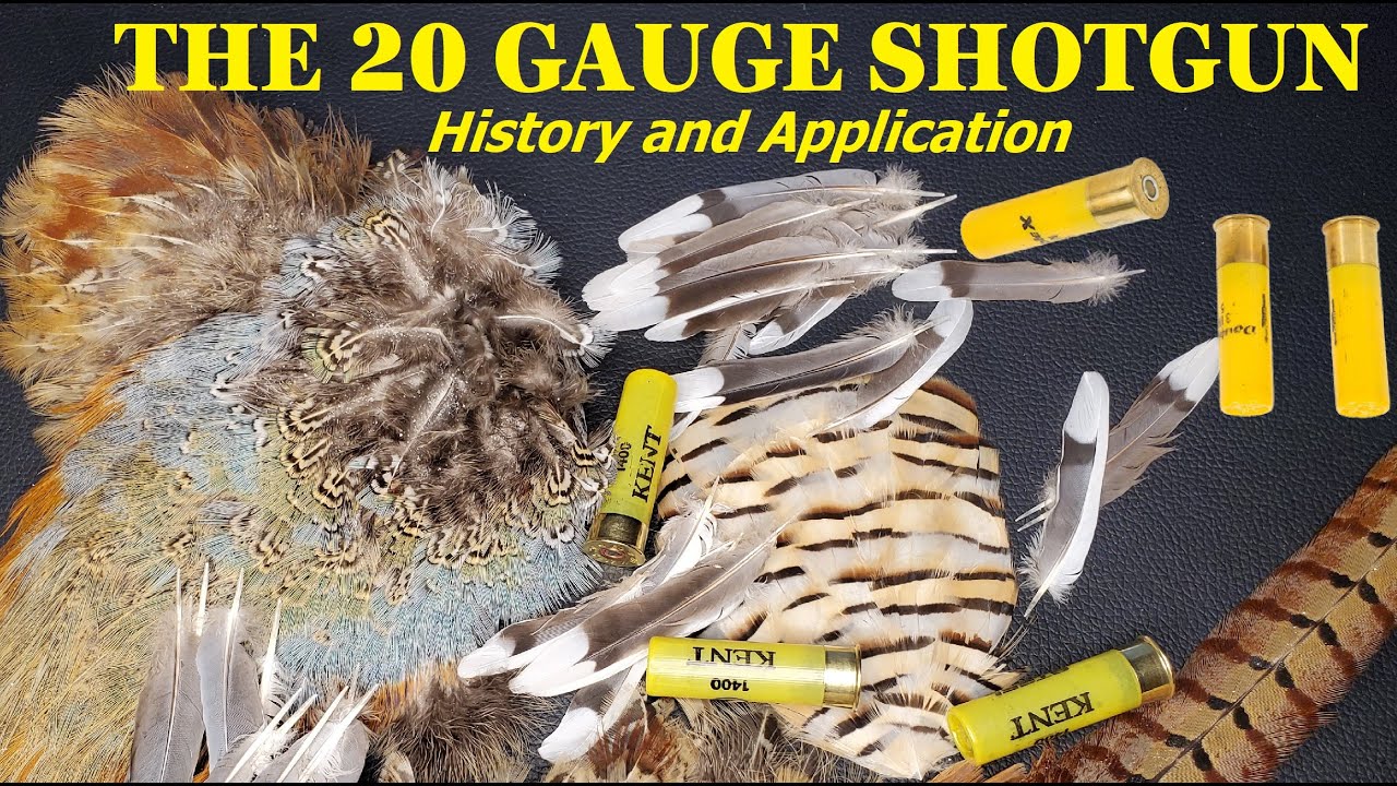 THE 20-GAUGE SHOTGUN: History and Application
