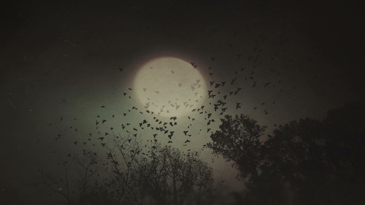 Night Crows | Spooky Ambience - Night Forest Sounds