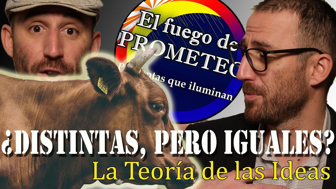 Teoría de las IDEAS de PLATÓN - te la explico con vacas! 🐮👈 (que FÁCIL!)
