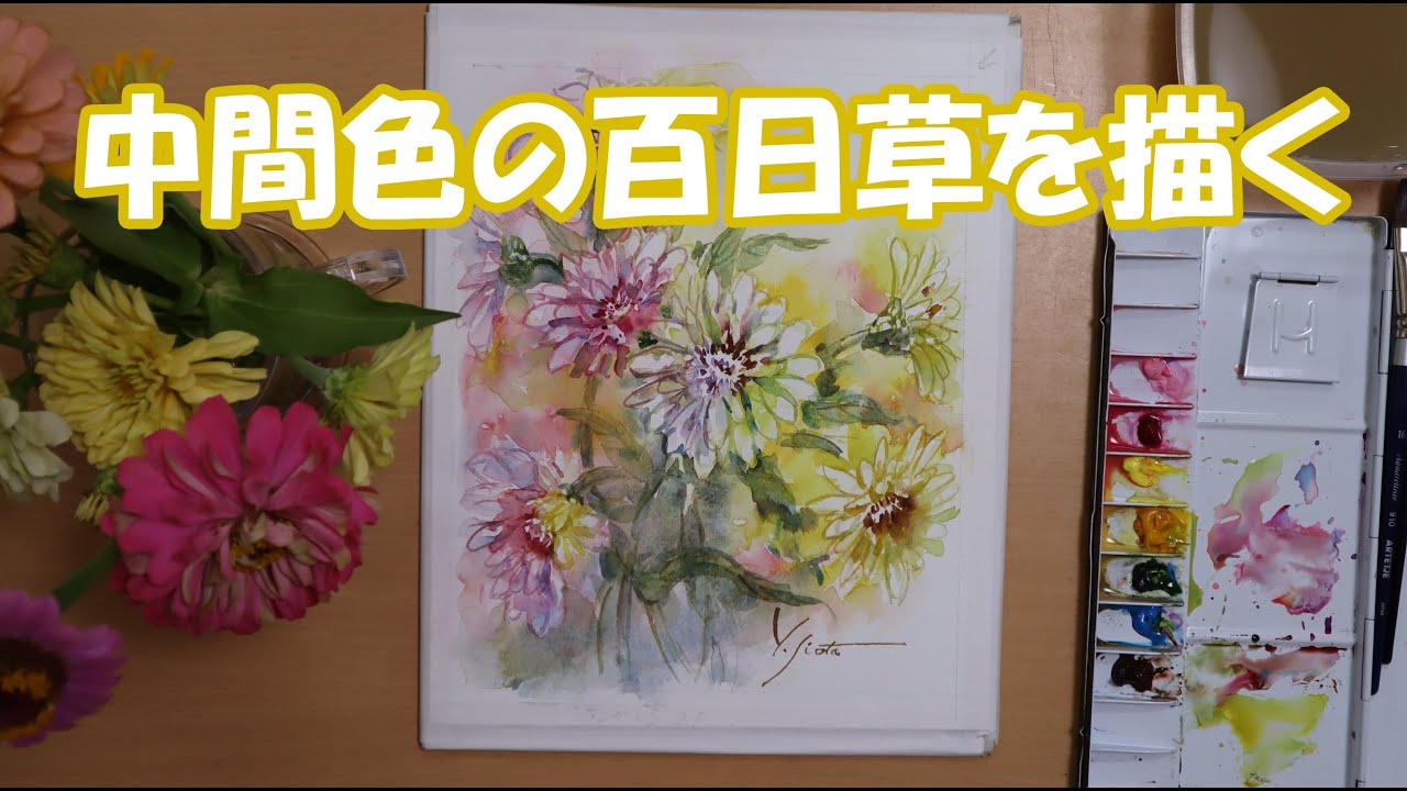【透明水彩画】中間色の百日草を描く