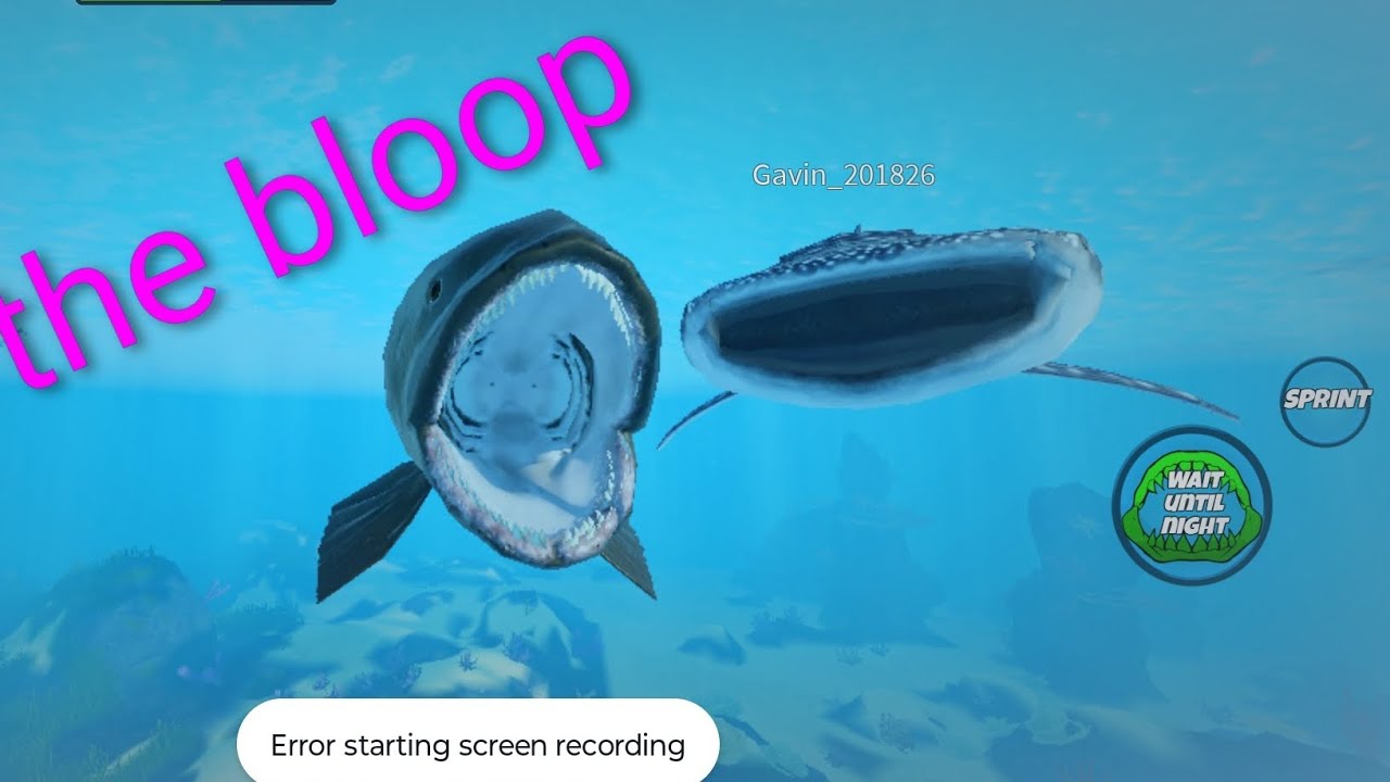 Roblox bloop (The reef)