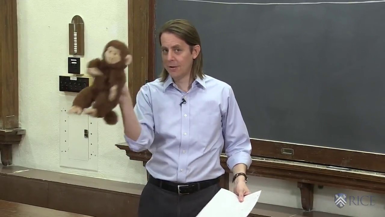 PHYS 101 | Trajectories 5 - The Hunter and the Monkey