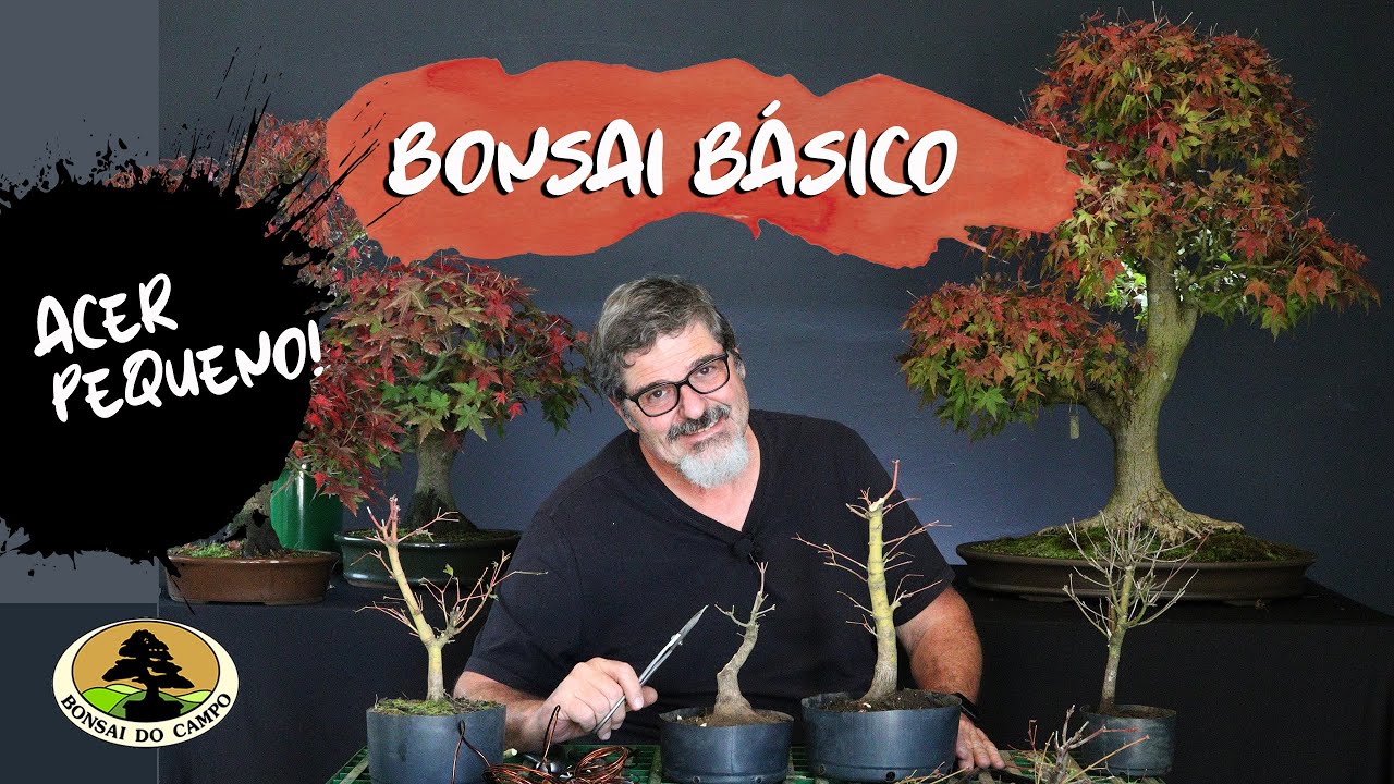 BONSAI BÁSICO. PODA NO ACER PEQUENO