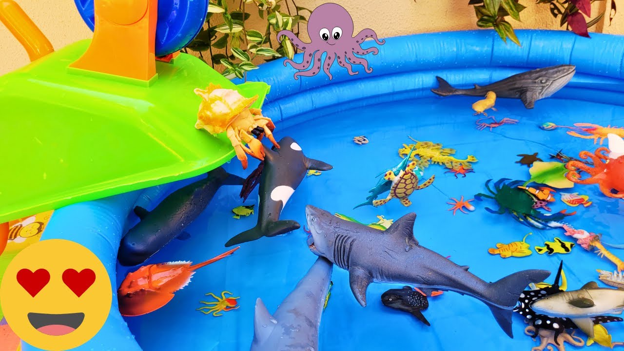 Sea Animals Creatures Pool Toys for Kids
