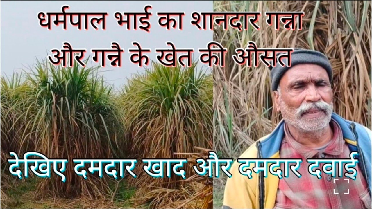 गन्नै का सारा खेल इनमे ही छिपा है 