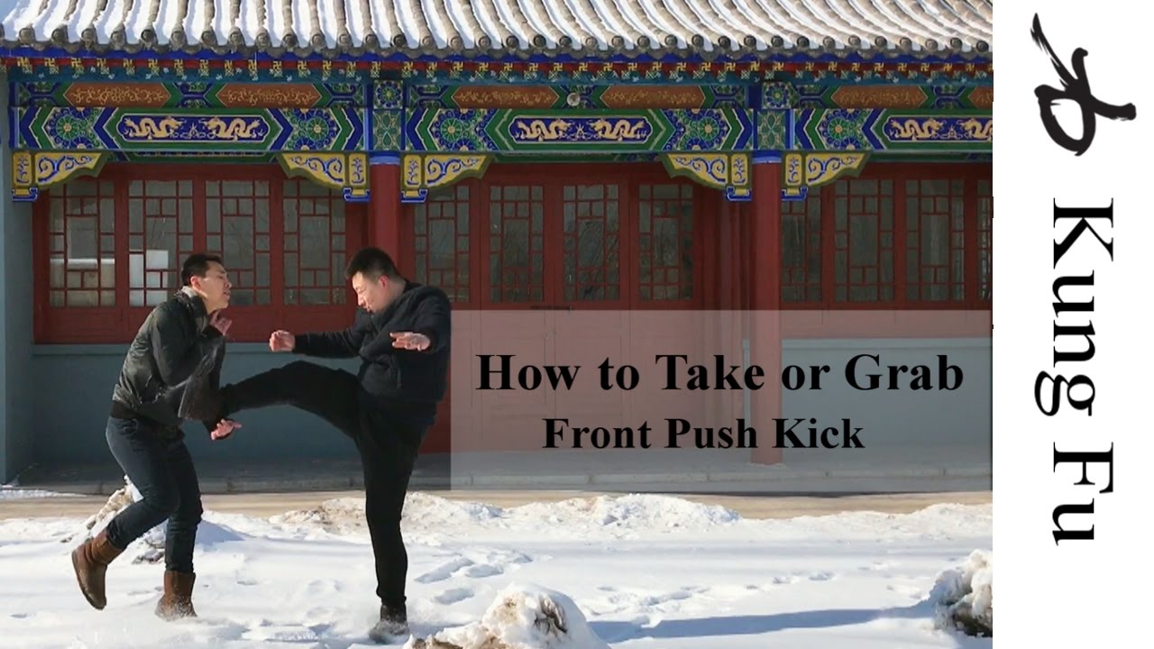 How to Defend Against a Front Push Kick