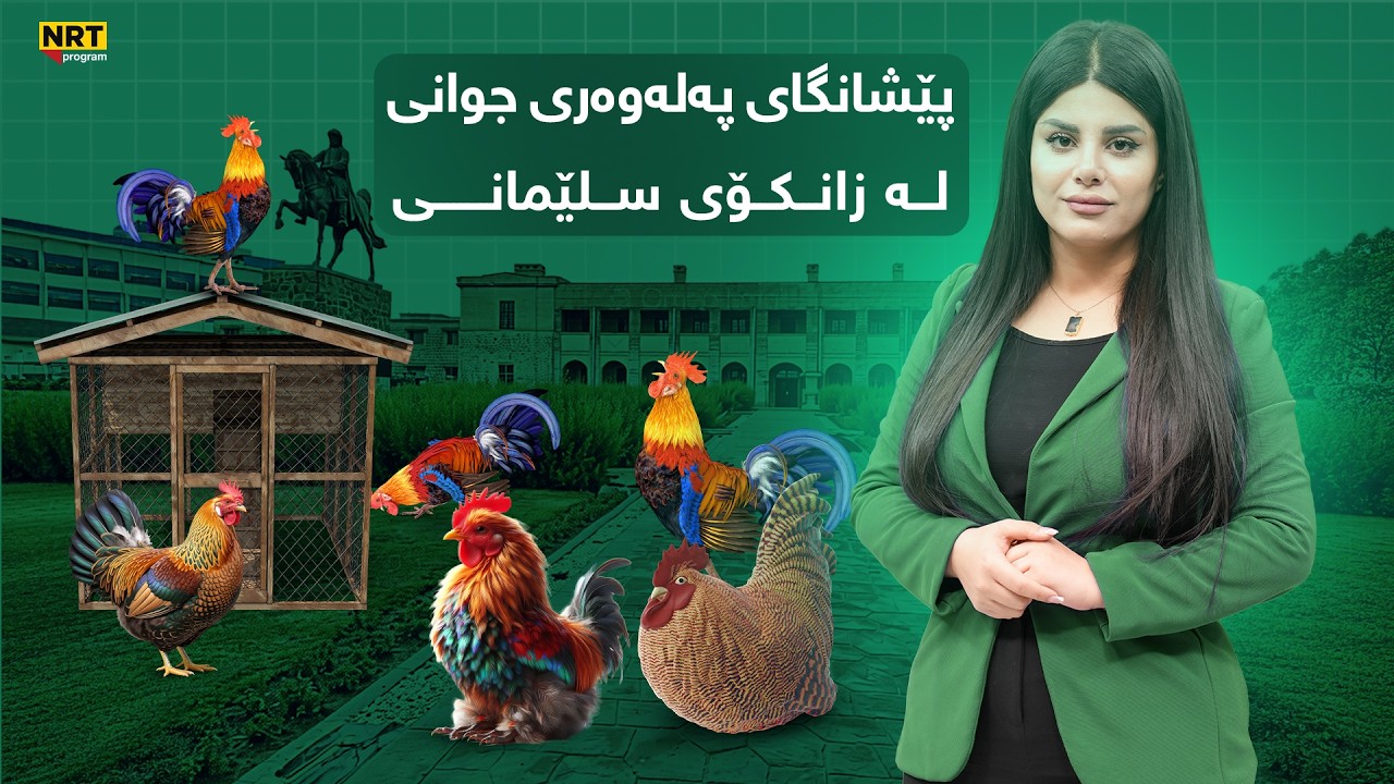 سەکۆ - پێشانگای پەلەوەری جوانی لە زانکۆی سلێمانی