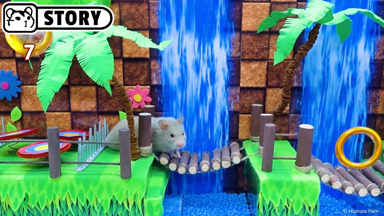 Sonic Hamster Maze - Game 🐹 Homura Ham