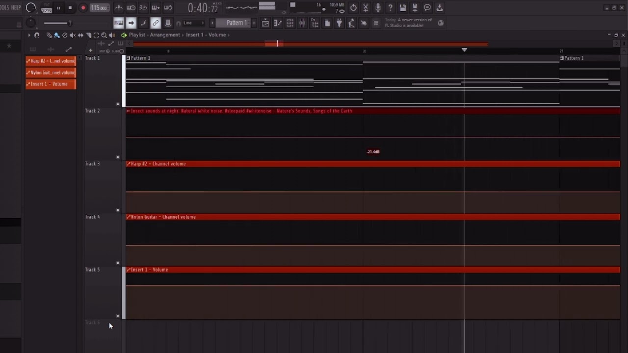 insect sounds at night