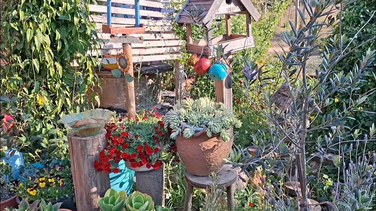 Tour no jardim cantinho novo com suculentas pendentes