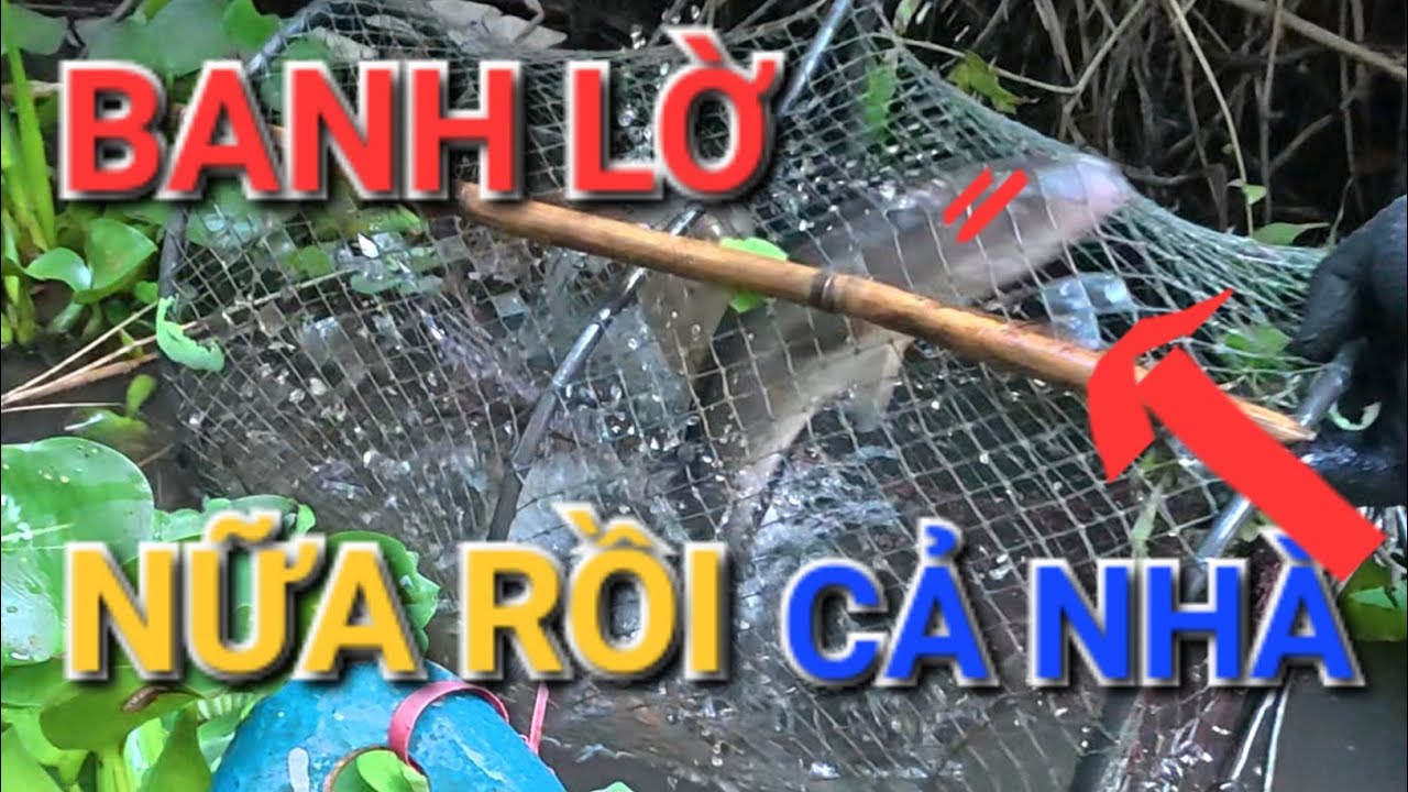 Rung Tay Khi Kéo lờ dính toàn hàng khủng hàng hiếm quá hấp dẫn