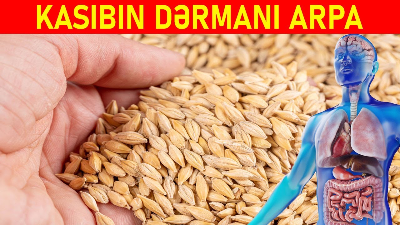 ARPA KİMİ ORQANİZM ÜÇÜN FAYDALI BİR BİTKİ YOXDUR