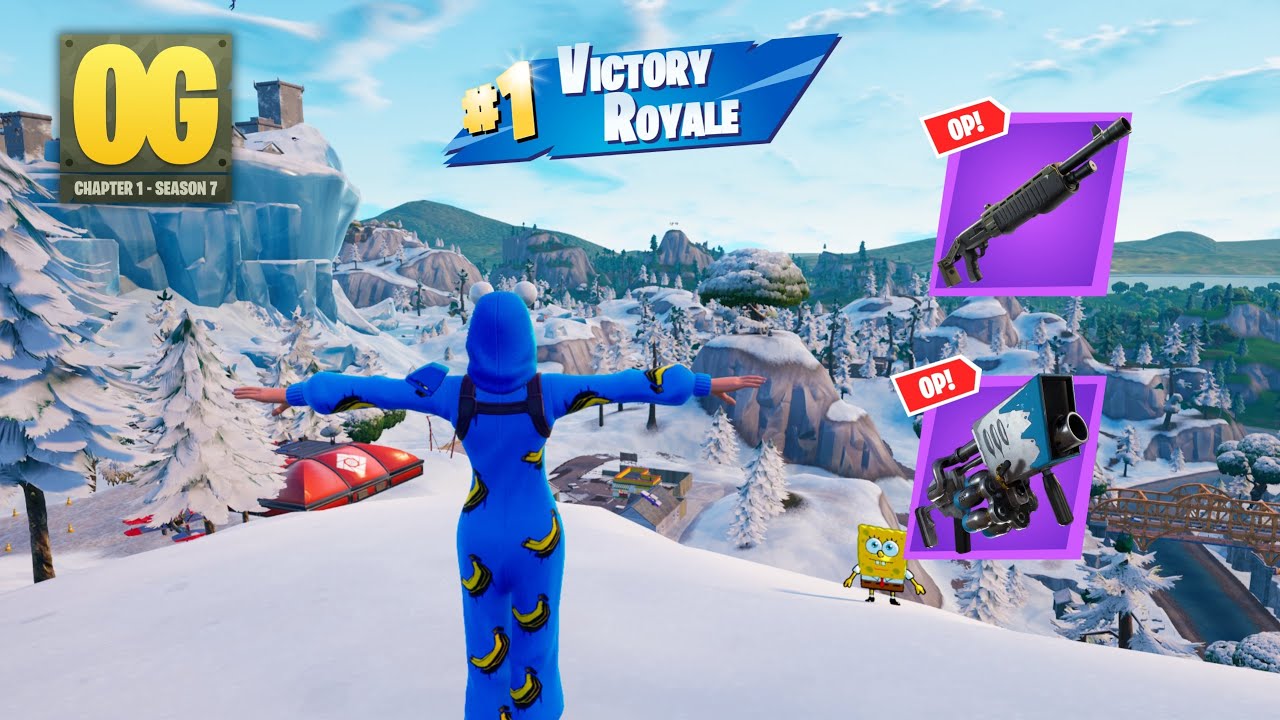 21 Kill Fortnite Solos 