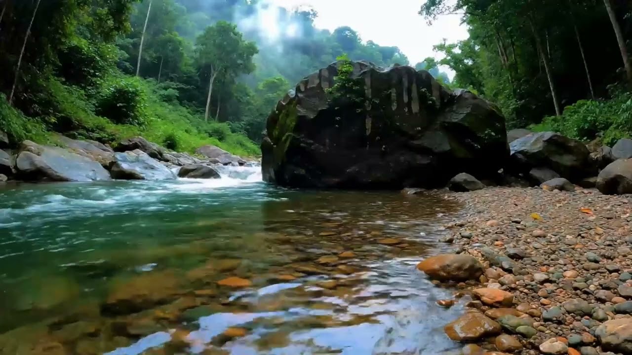 Forest River Sounds, Beautiful Birdsong, Calming River And Birds For Anxiety Relief