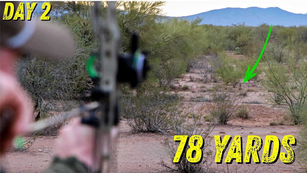 Day 2 Semi LIVE Mexico Mule Deer Hunt 2026