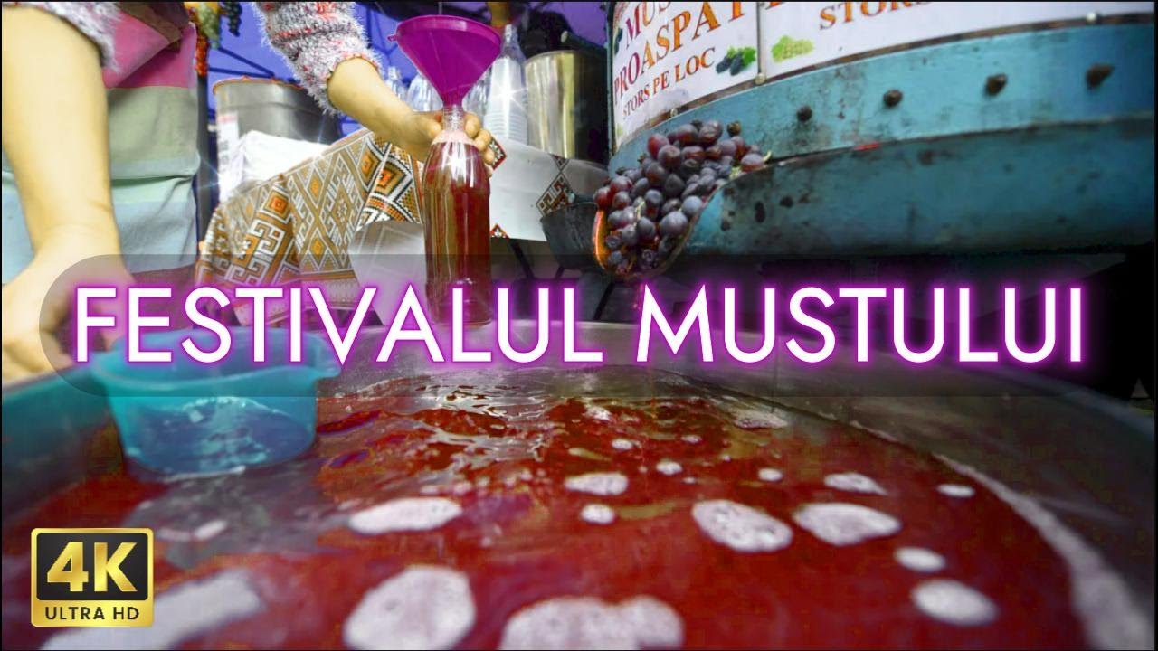 Festivalul de Bun Must și Pastramă după Gust | București 2024 | Tur complet