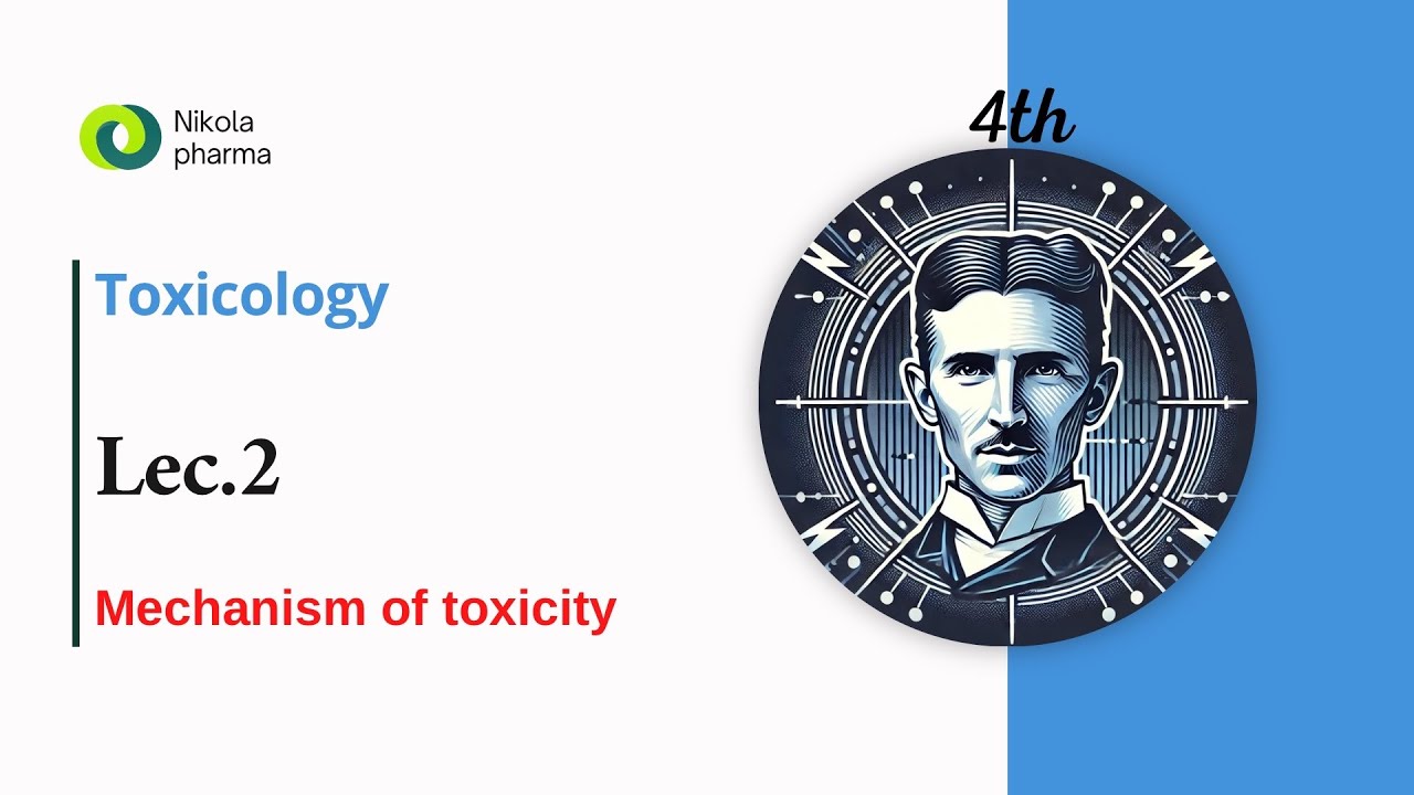 المحاضرة الثانية لمادة السموم / مرحلة رابعة صيدلة / Lec.2 Mechanism of toxicity