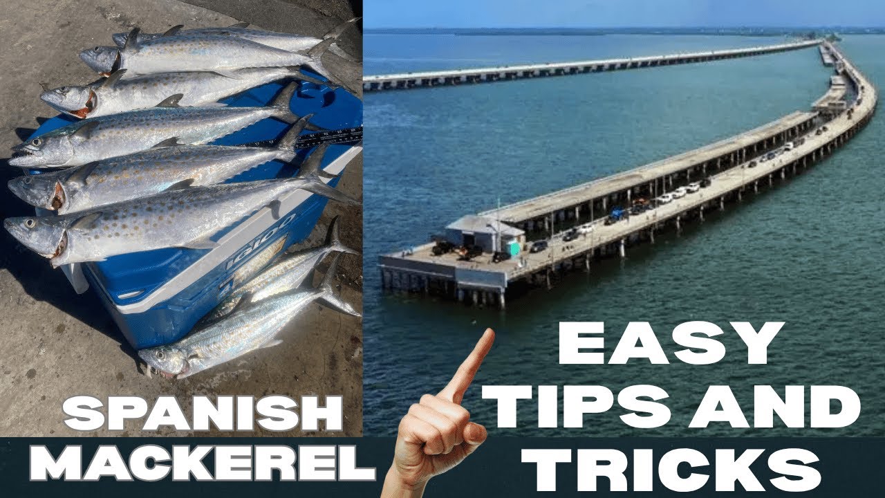 How To Catch Mackerel EASY! Pier Fishing Tips - SKYWAY FISHING PIER #fishing #pierfishing #skyway