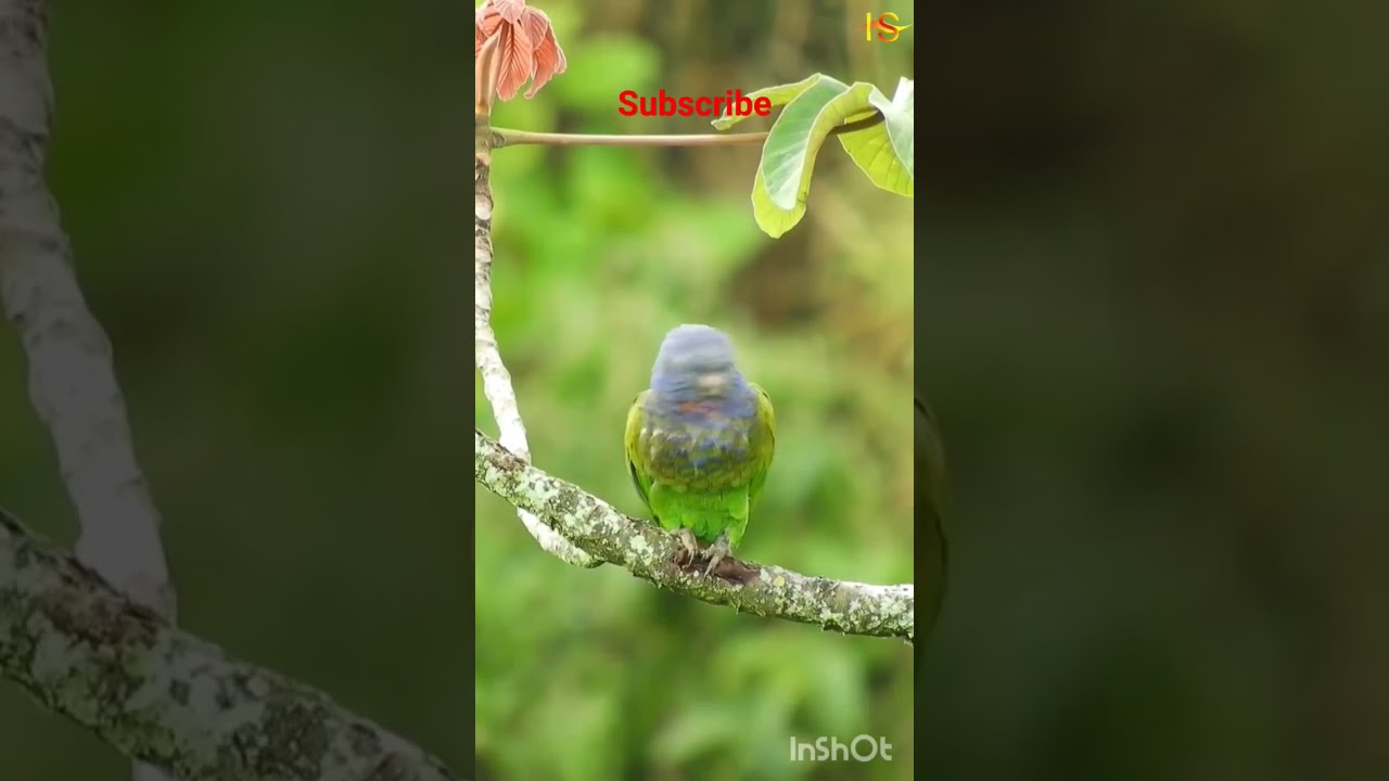 Hamne Ankho Se  Dekhe Nahi He Magar/Full Naat 2024/Islamic Studio.#viral #shorts #trending #allah .