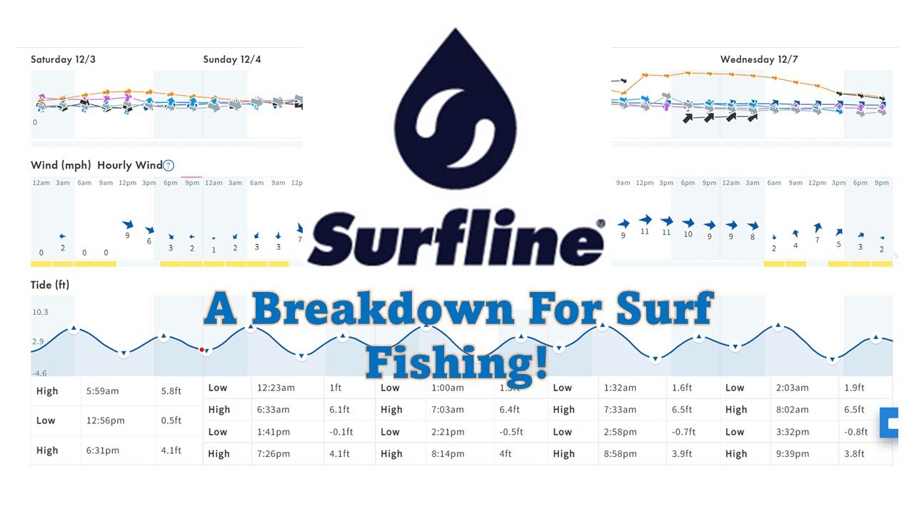 How to Use Surfline for Surf Fishing