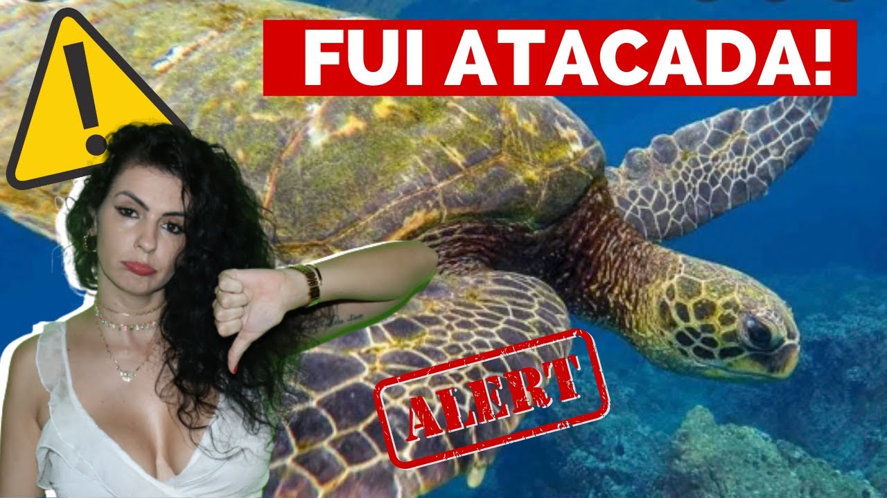 NADAR COM TARTARUGAS/TORTUGAS EM MÁNCORA,AO NORTE DO PERÚ - NADAR COM TORTUGAS EM MÁNCORA,PIURA PERU
