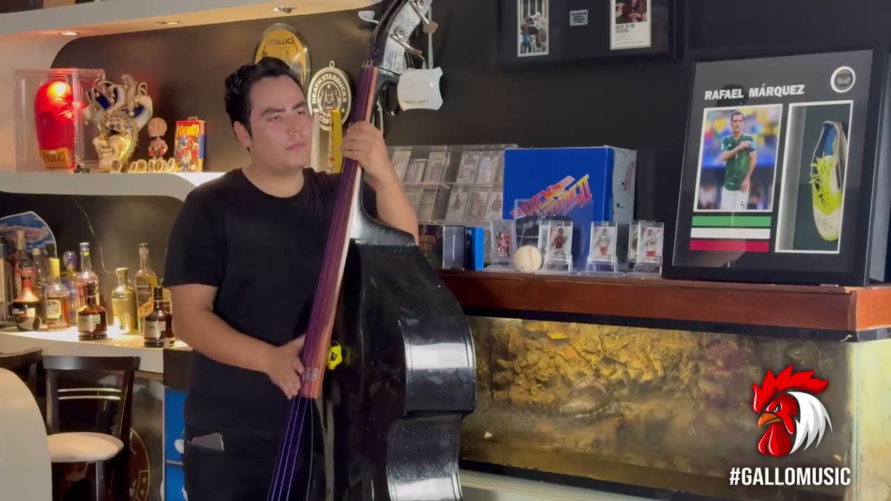 La playa - LUCHO VÁZQUEZ  cover 