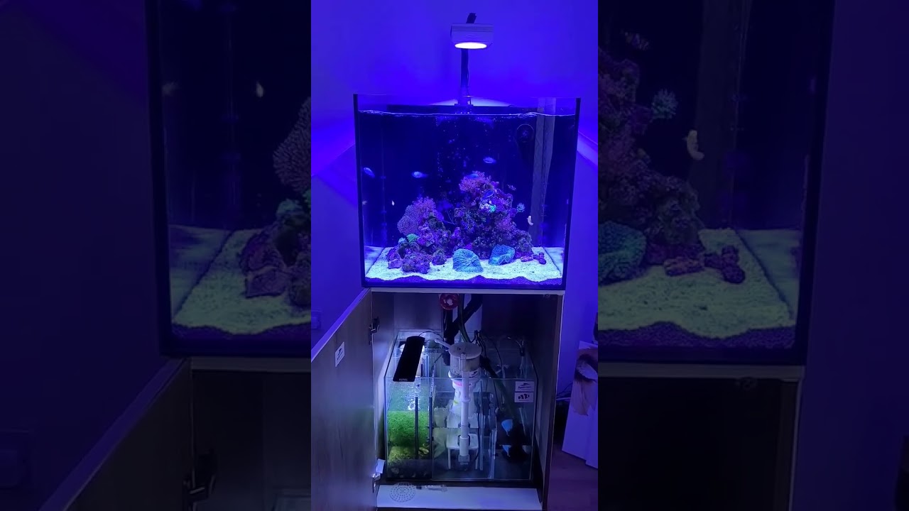 Aqua ReefSys 180