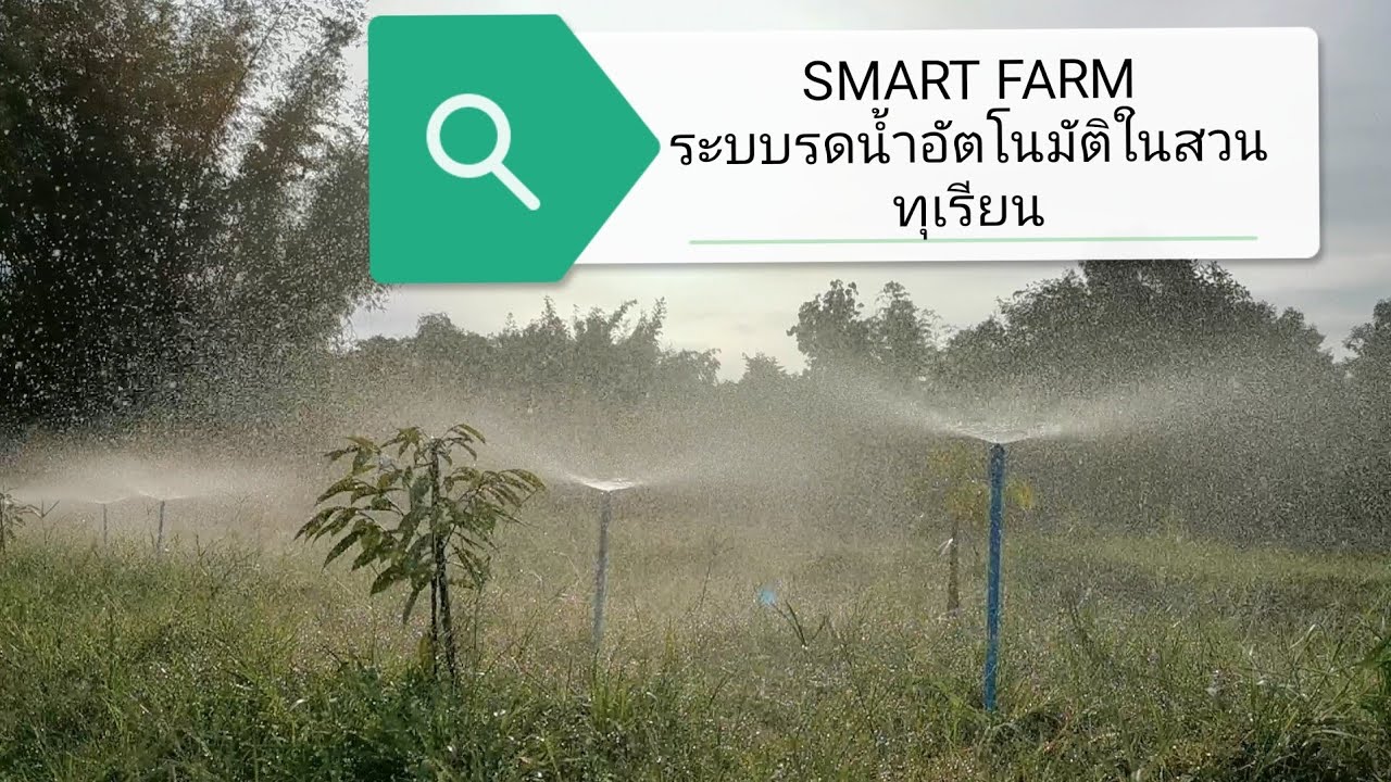 SMART FARM ระบบน้ำอัตโนมัติ ไม่ยากอย่างที่คิด ทุเรียน​ep.5