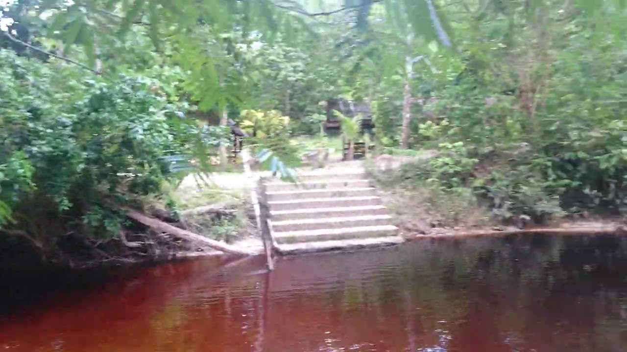 Jungle Camp