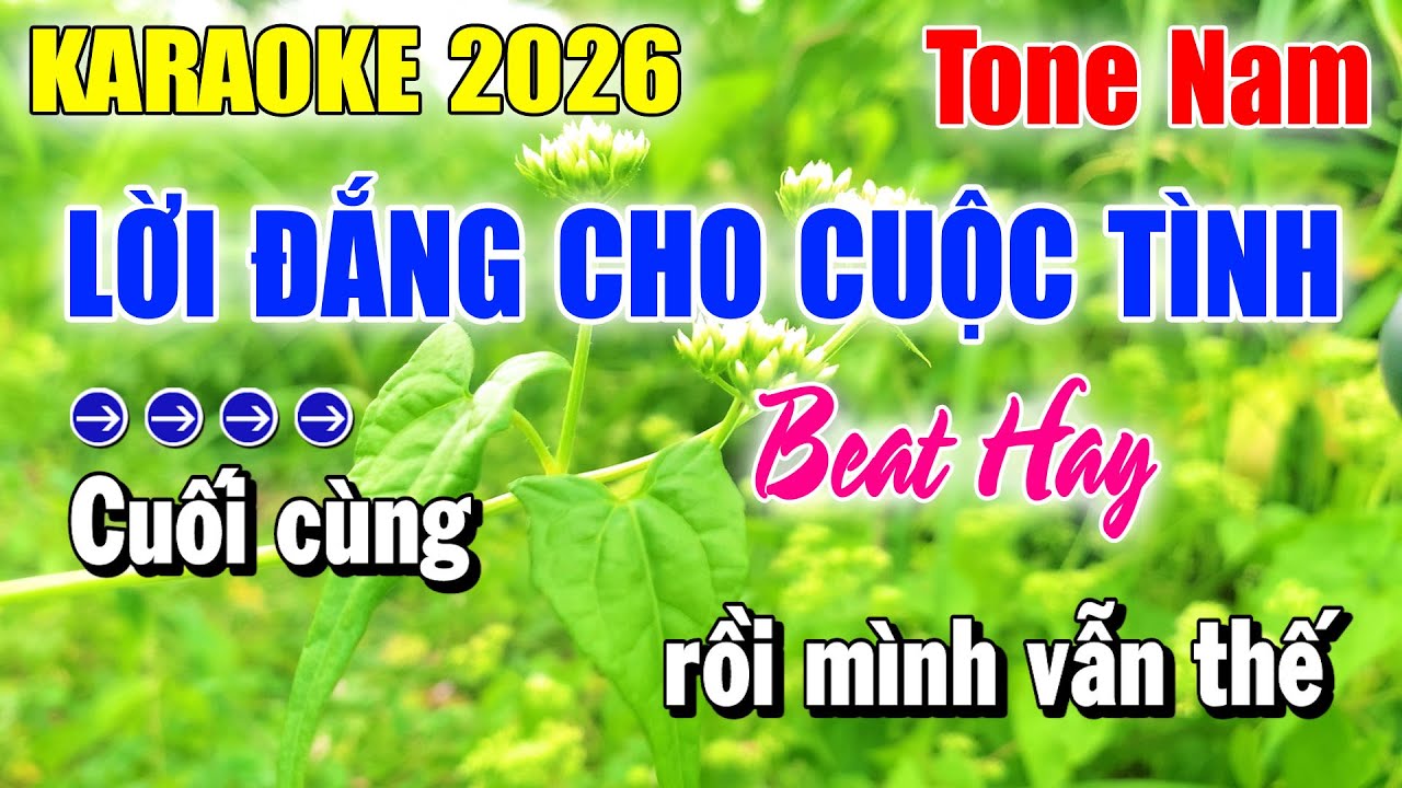 Karaoke Lời Đắng Cho Cuộc Tình Tone Nam ( Beat Hay ) Karaoke Thanh Duy