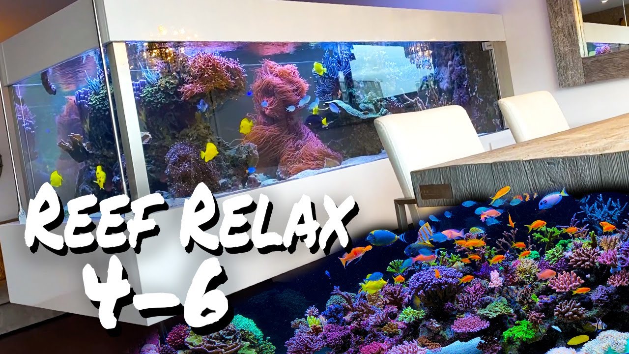 REEF RELAX - Part 4-6 - chillout music + reef tanks *AQUARIUM lounge*