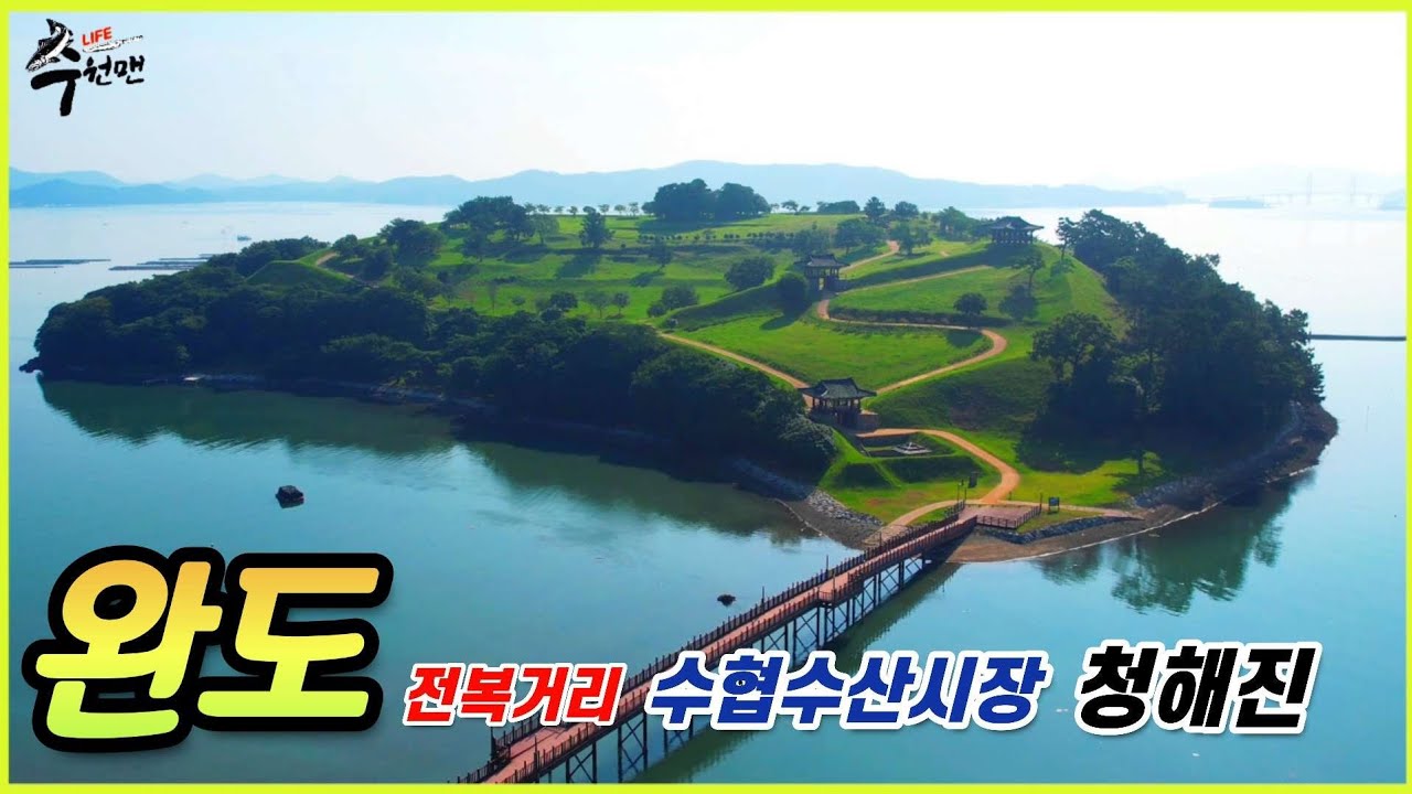 🫴완전대박! 완도구경! 전복. 활민어시세 미쳤다 미쳤어~ 더 미친건 자연산 돌돔... 와~~~