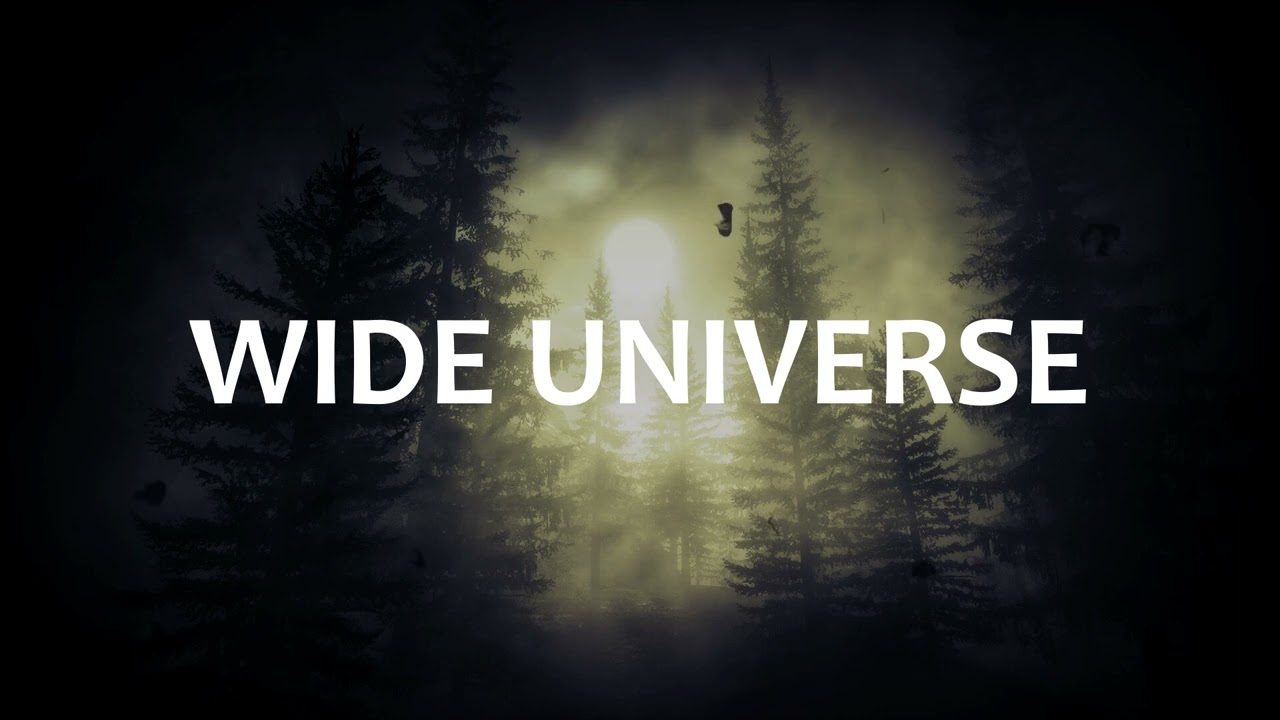 Alberto Bellani - Wide Universe