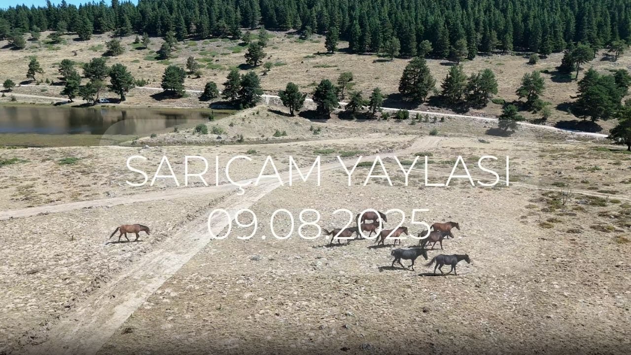 Kamp Maceramız 🏕️ Nissan Navara + Araç Üstü Çadır | Drone Kazası & Sarıçam Yaylası