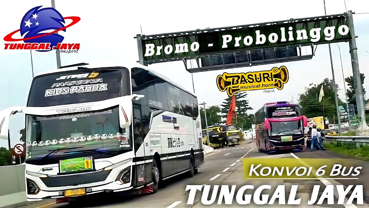 EPIC MOMEN ‼️ KONVOI 6 BUS VIRAL TUNGGAL JAYA || jalur Bromo
