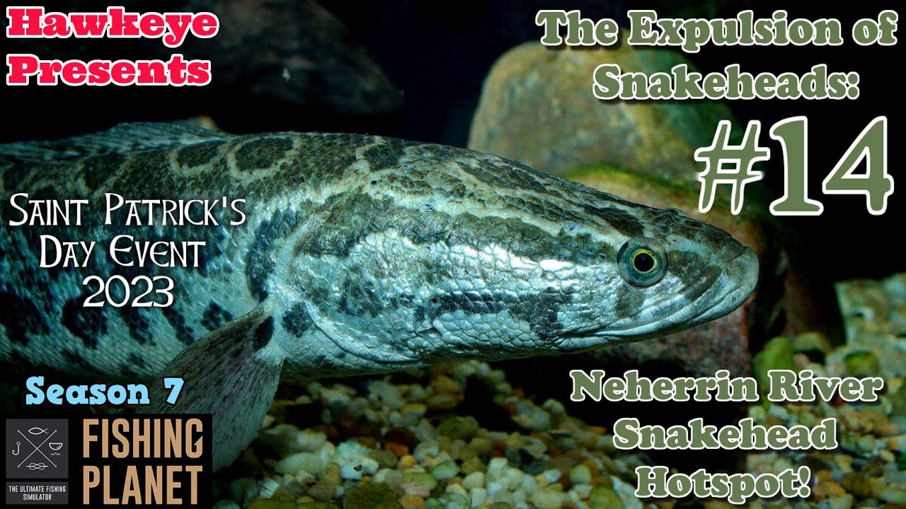 Fishing Planet #14 - S7 | Saint Patrick's Day Event 2023: Neherrin River Snakehead Hotspot!