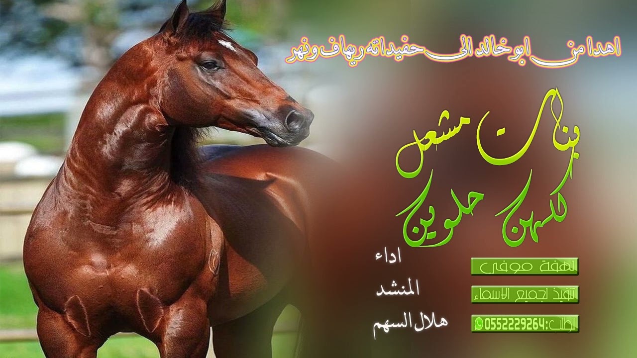 شيلة بنات مشعل كلهن حلوين  | اداء المنشد هلال السهم