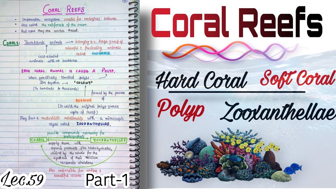 Coral Reefs(Part1-Hard & Soft Coral)|| World Geography|| Handwritten notes|| Lec.59||An Aspirant !