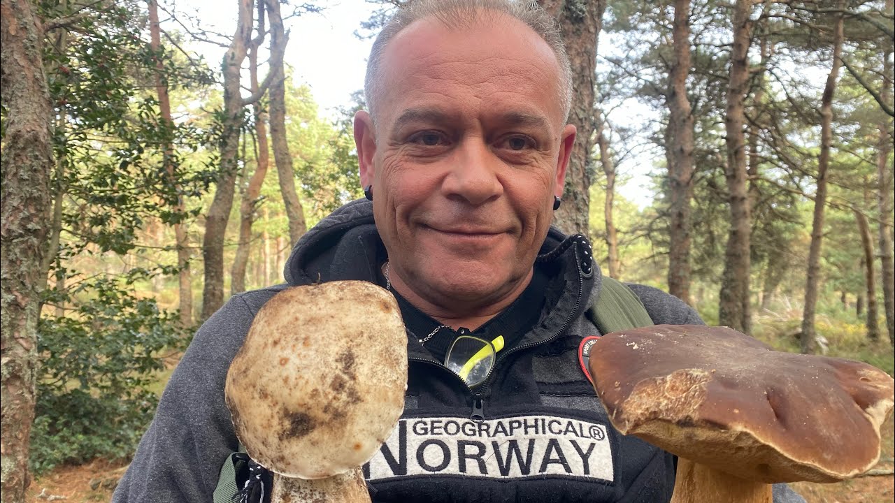 Boletus 2025