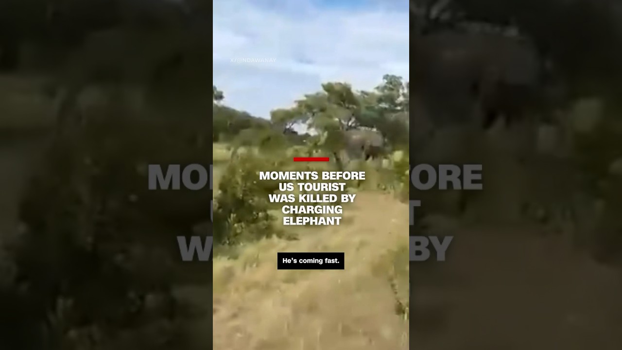 Moments before US tourist was killed by charging elephant