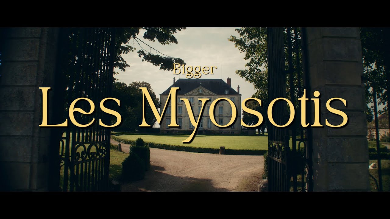 Bigger - Les Myosotis [official video]