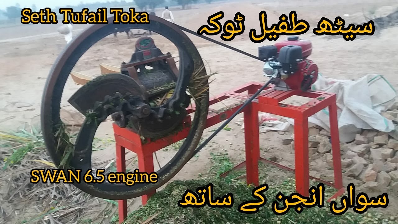 Seth Tufail Toka with Swan Gasoline engine | Agriculture in Pakistan | Fodder Chopper Machine