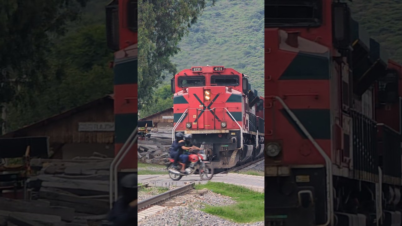 CASI SON ATROPELLADOS POR EL TREN 🤦&zwj;♂️#train #railway #ferrocarril